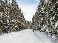 Camp Mercier